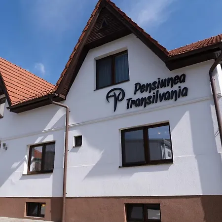 Pensiunea Transilvania 3* Sybin